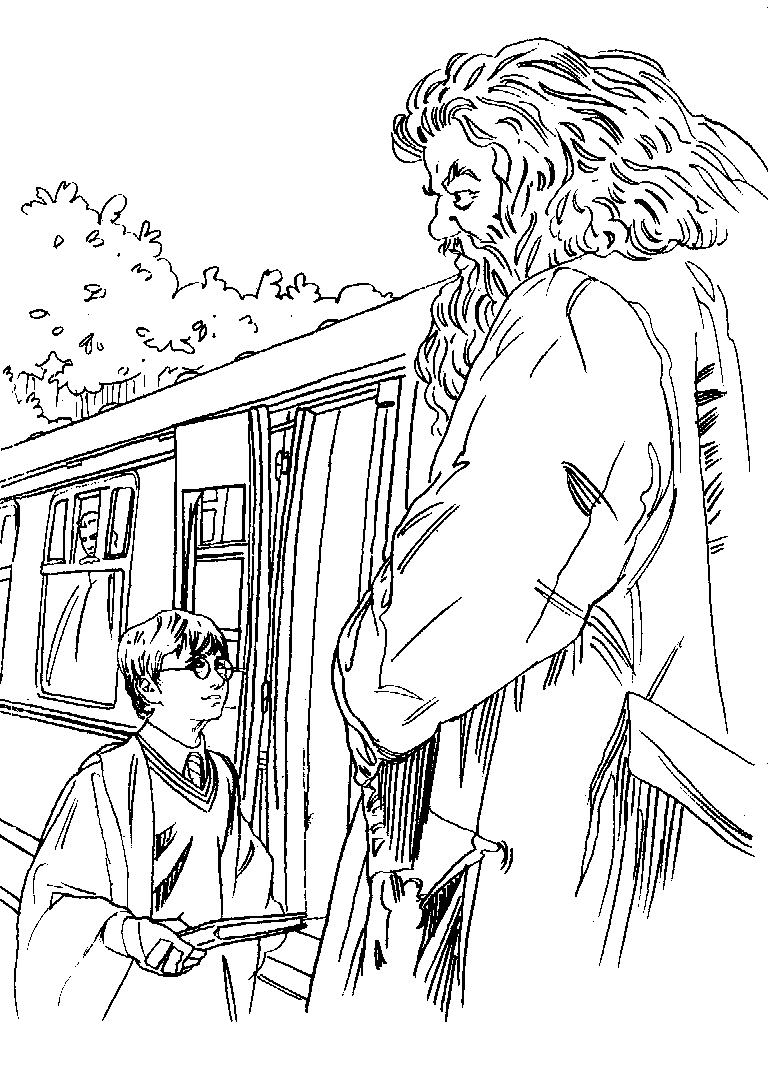 Plansa de colorat cu Harry Potter 112 16